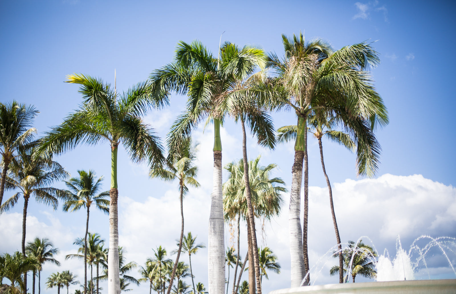 Come Travel with Me: Hawaii Travel Diary – Mr. Kate