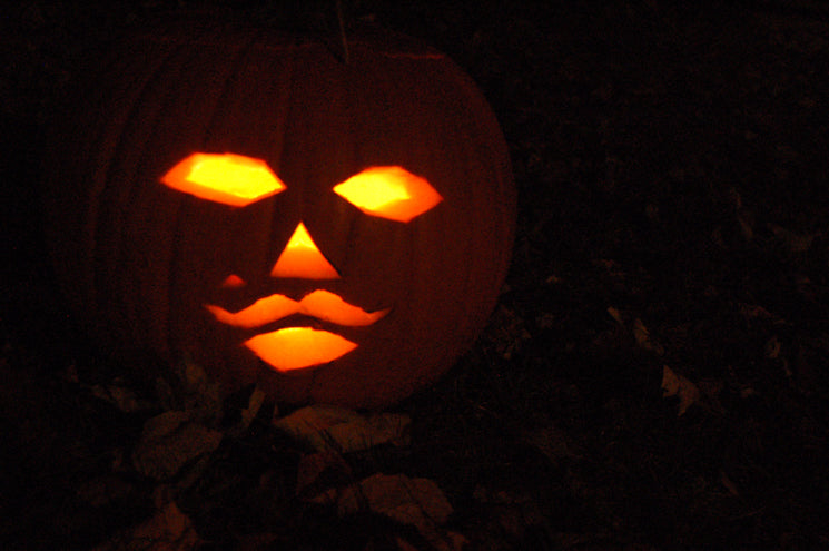 mr. kate pumpkin