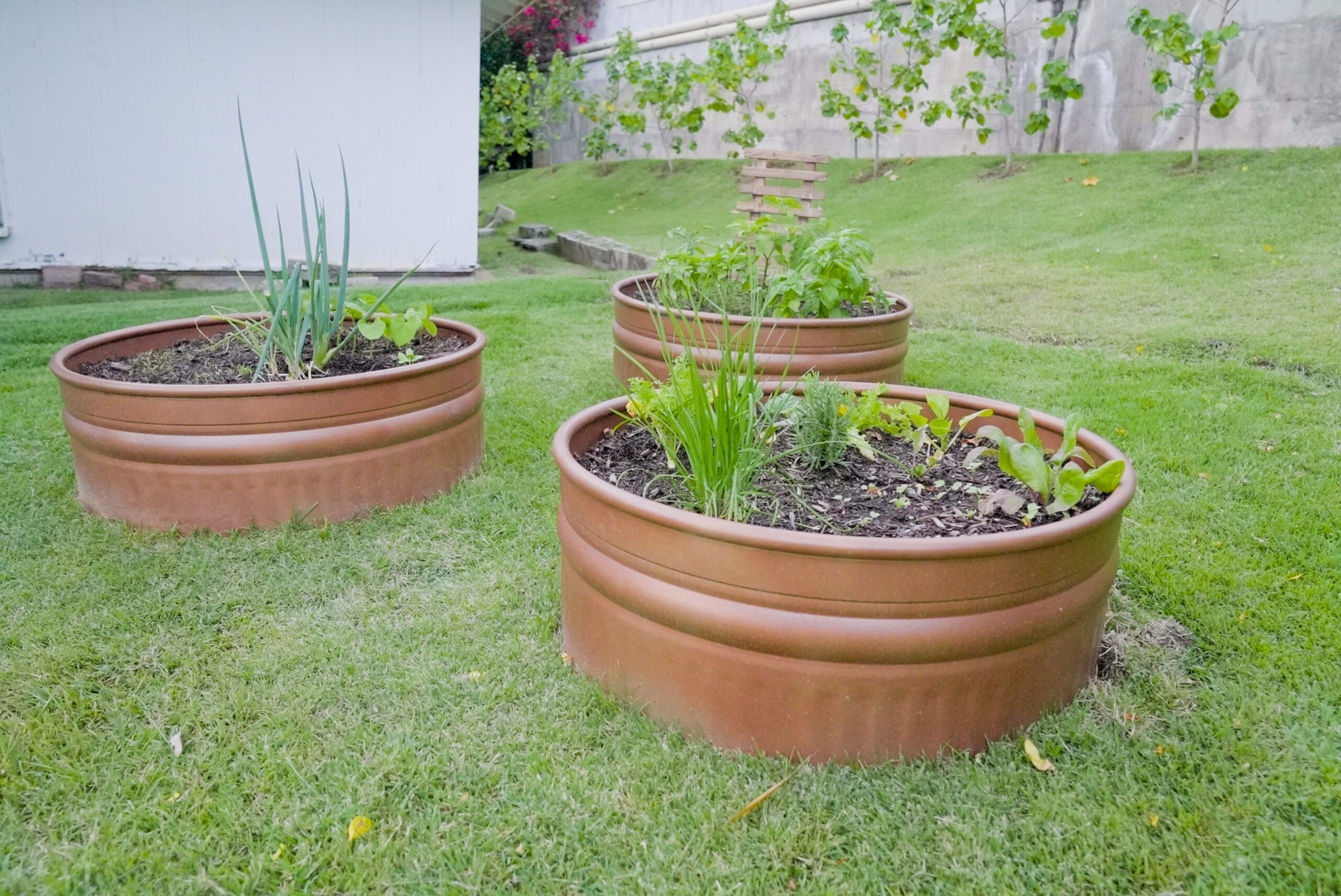 Raised Garden Bed DIY