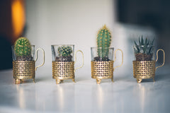 Bouquet of the Month: But First, Cacti