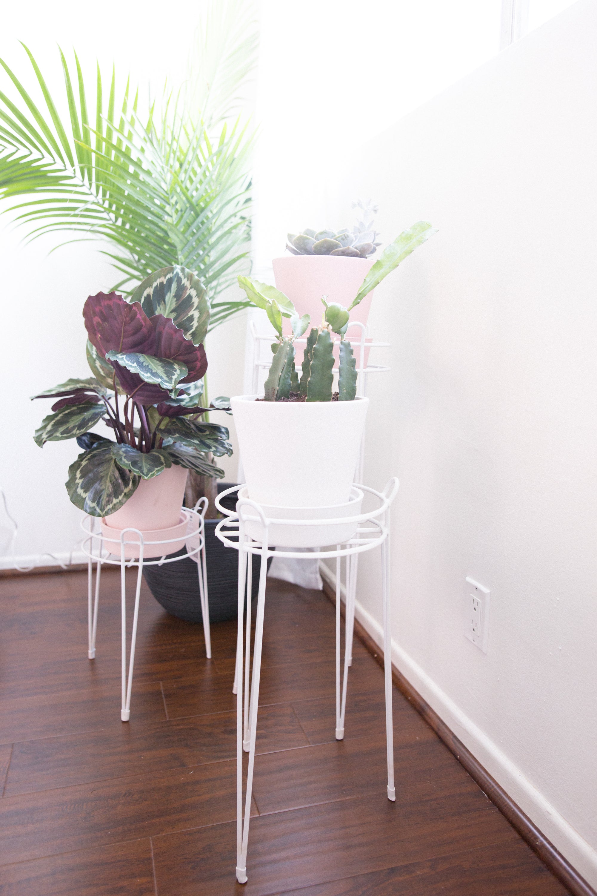 DIY Pastel Pink Painted Plant Pots