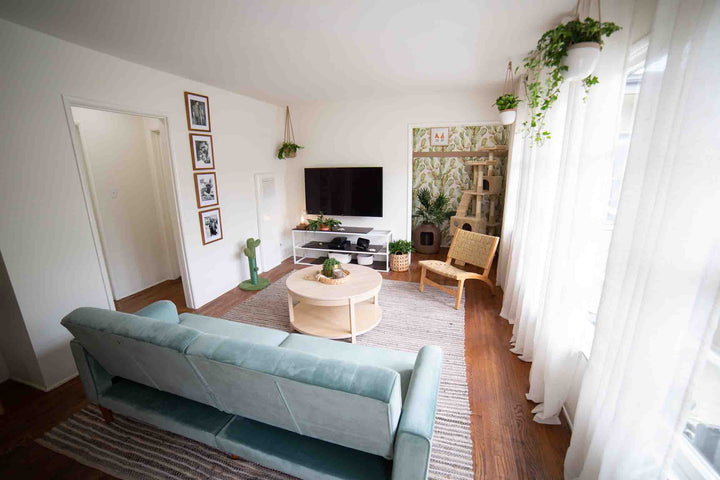 Minimalist Plant-Lovers Apartment Makeover
