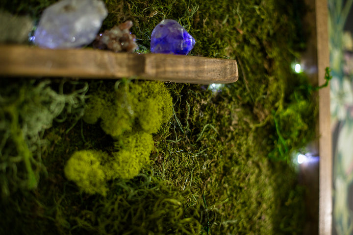 DIY Crystal Collection Moss Display