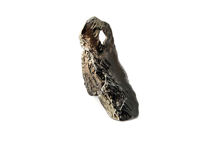 new for sale worm fossil and bark