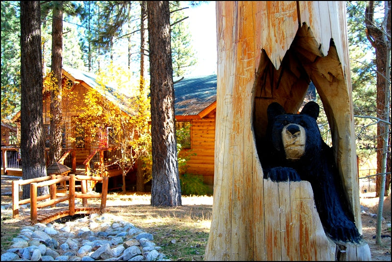 don't feed the animals