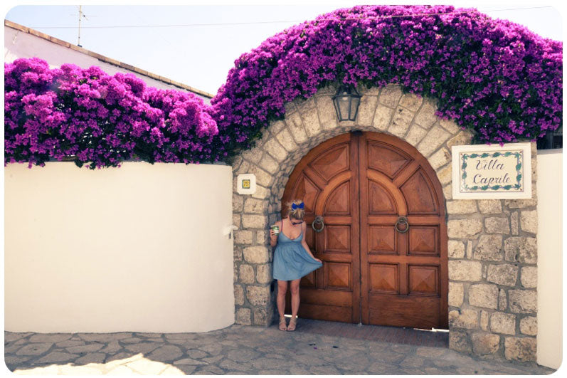 bougainvillea & bows