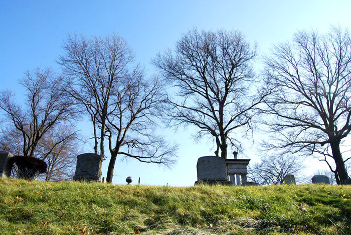 grave moss