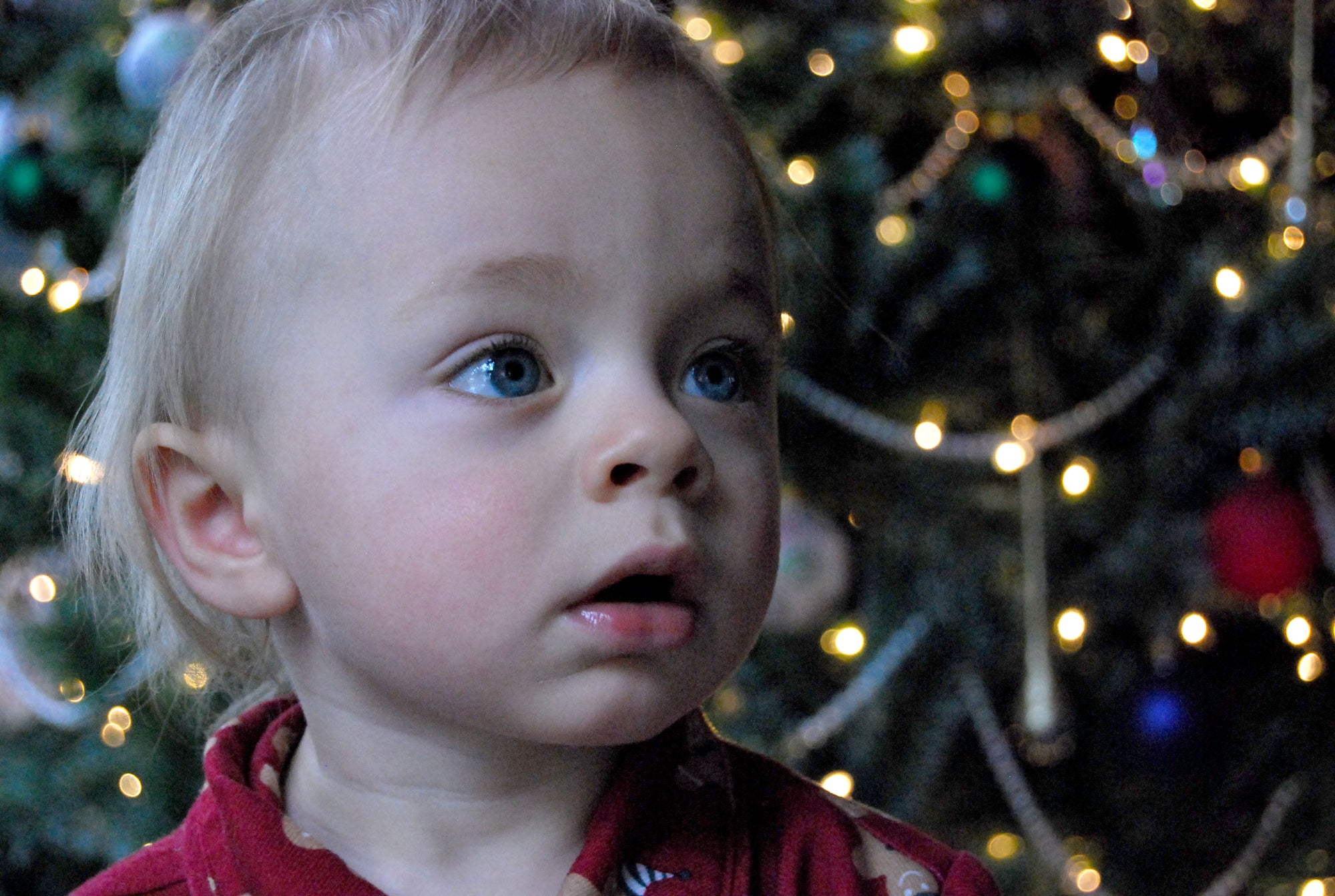 visions of milk bones danced in my head