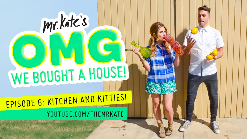 OMG We Bought A House! Episode 6: Kitchen and Kitties!
