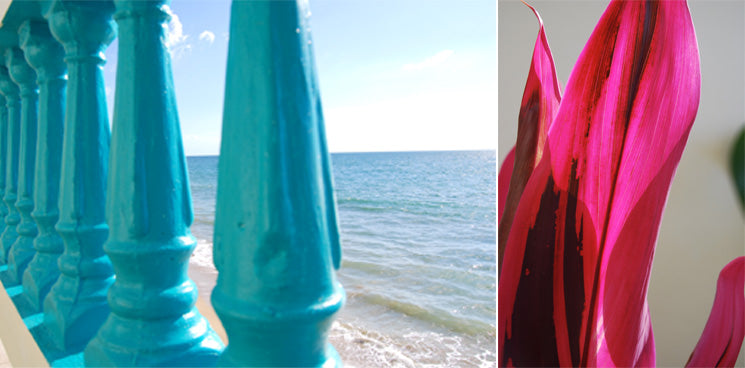 pink and turquoise in pr
