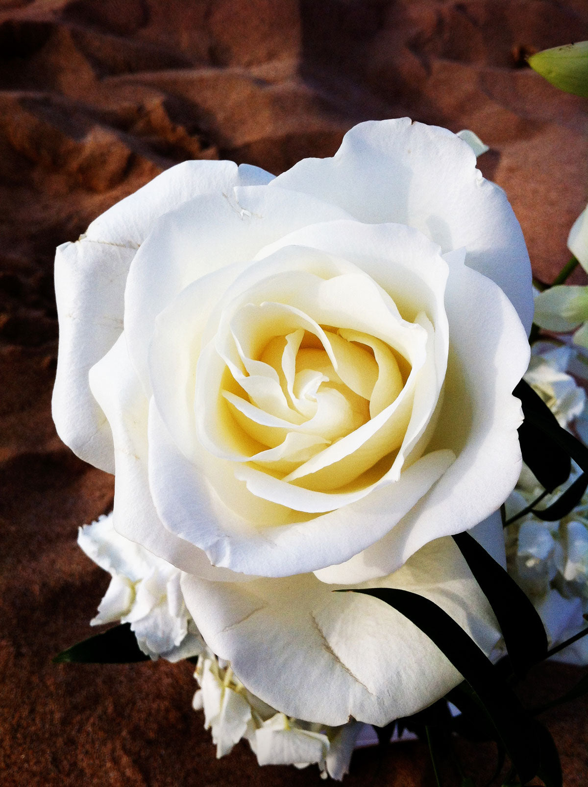 maui photo & video diary: day 2