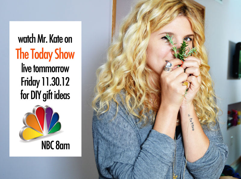 Mr. Kate DIYs on The Today Show tomorrow!