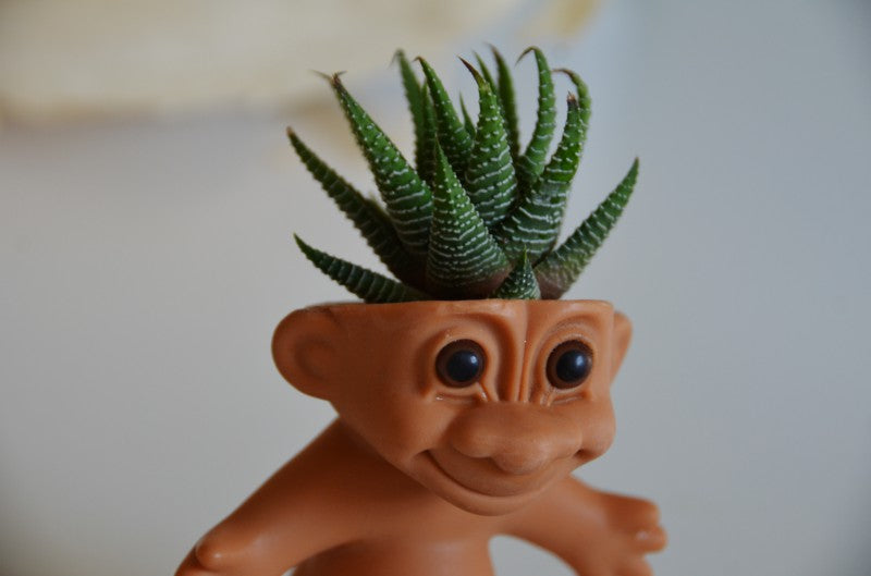 gift idea: trolls succ