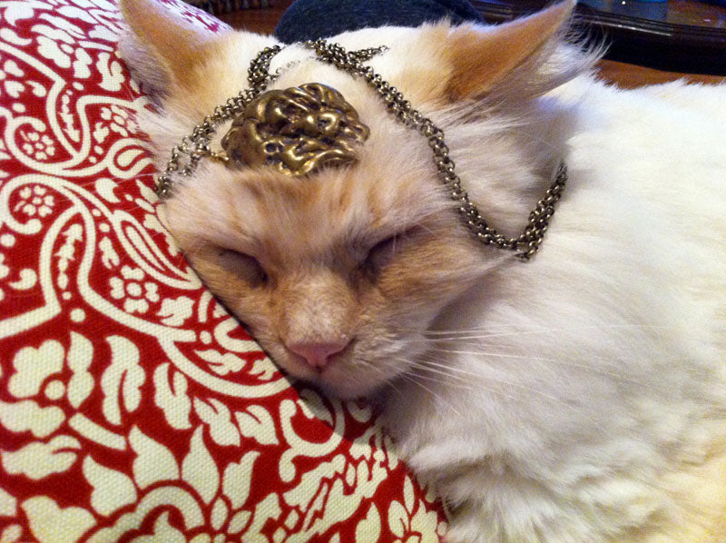 the crowning of king winston