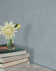 Mr. Kate Daphne Limewash Peel and Stick Wallpaper
