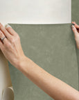 Mr. Kate Luna Zodiac Toile Peel & Stick Wallpaper Alternative Room Image 6